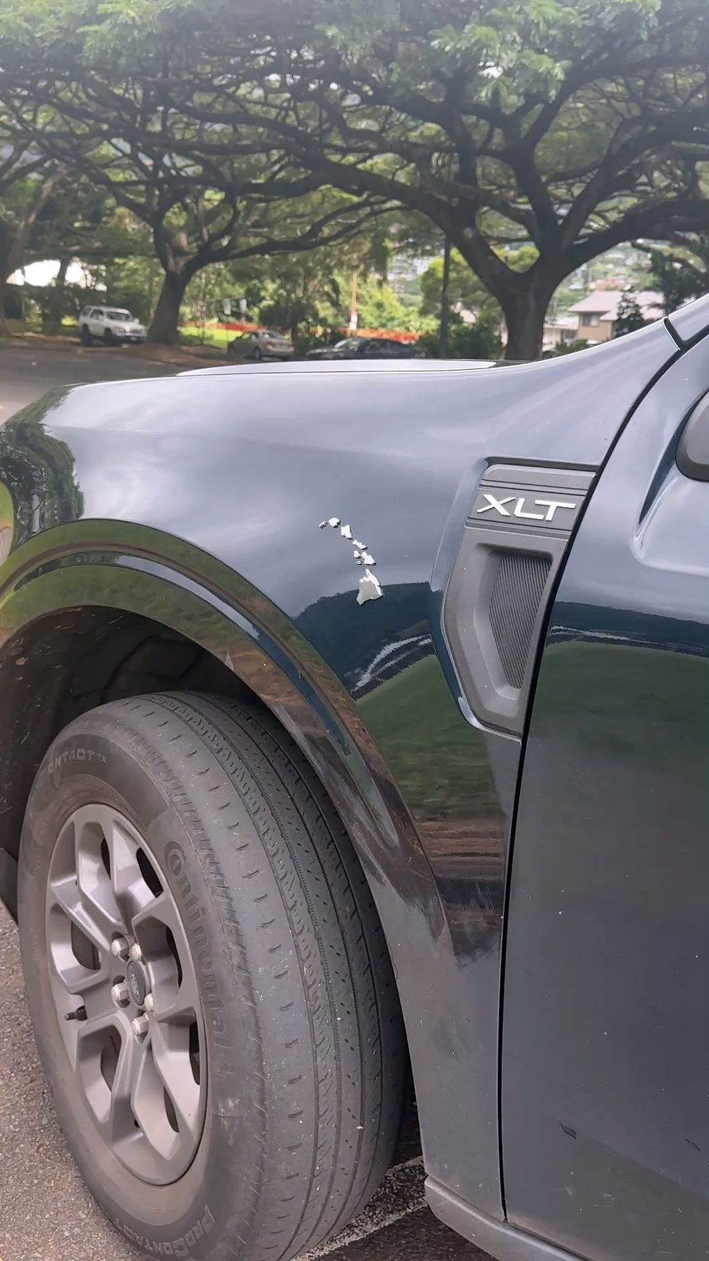 Cherreh Chromes: Hawaiian Islands Car Emblem