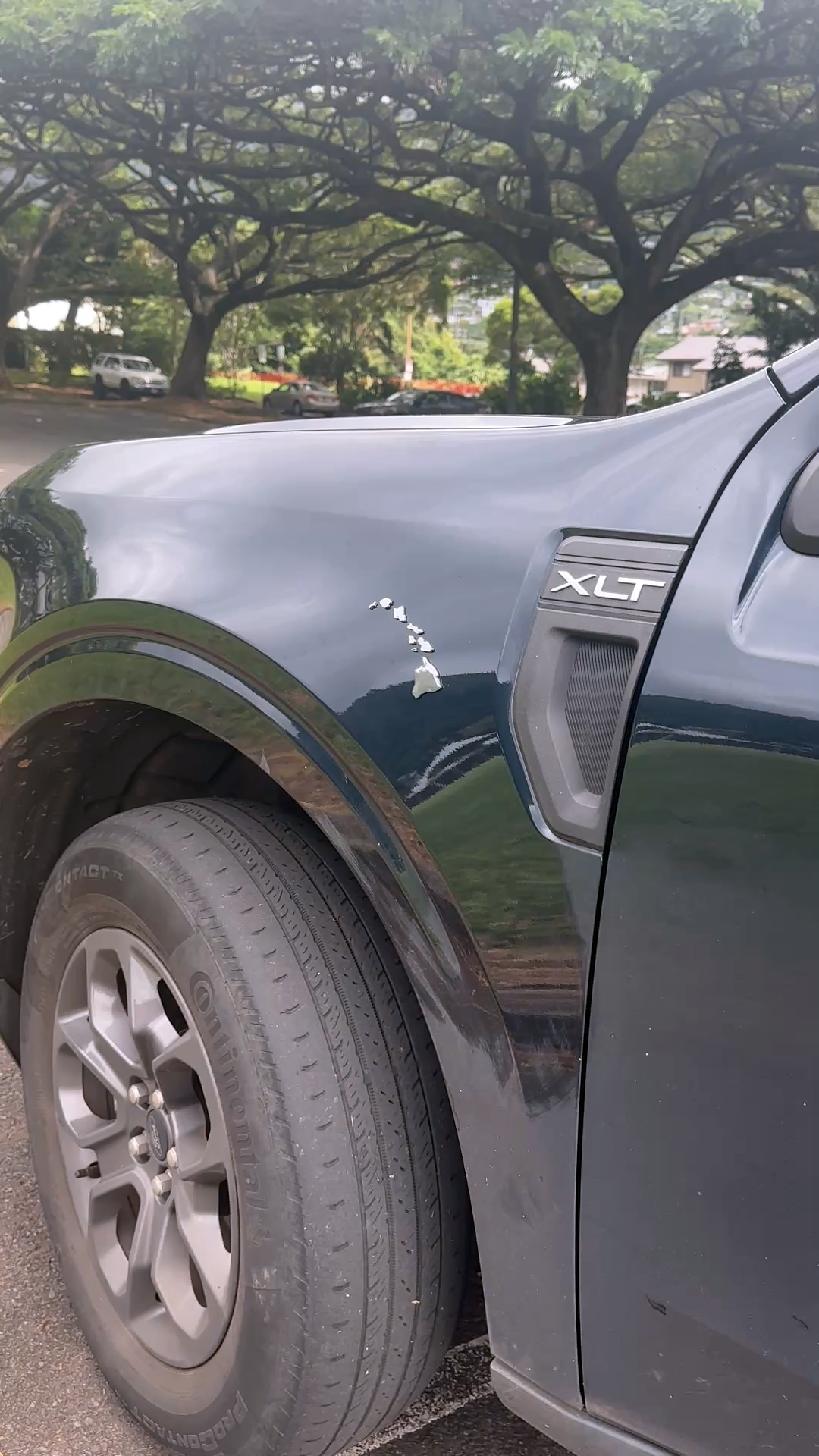 Cherreh Chromes: Hawaiian Islands Car Emblem